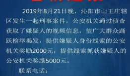 刑事案件爆料视频播放下载,刑事案件爆料视频播放下载背后的故事